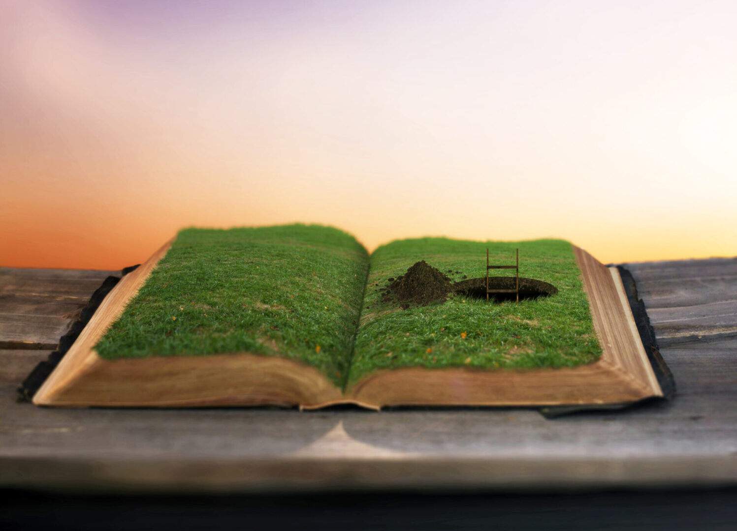 Surreal image of a pathway being dug inside a Bible.